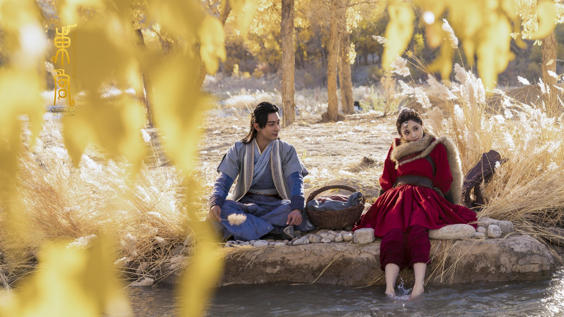 开云体育在线官网-中国足球战术分工细化程度分析模型，足球技战术分析