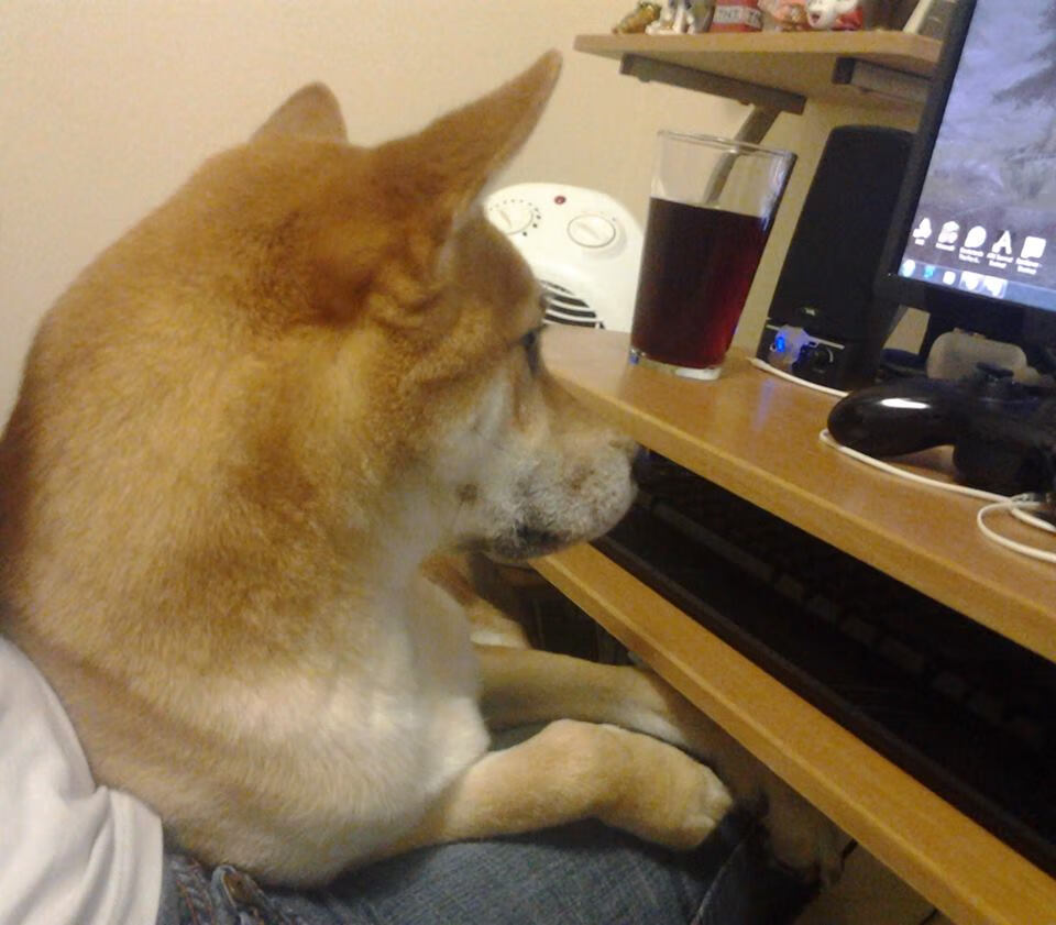 开云体育在线官网-中国足球战术分工细化程度分析模型,足球技战术分析