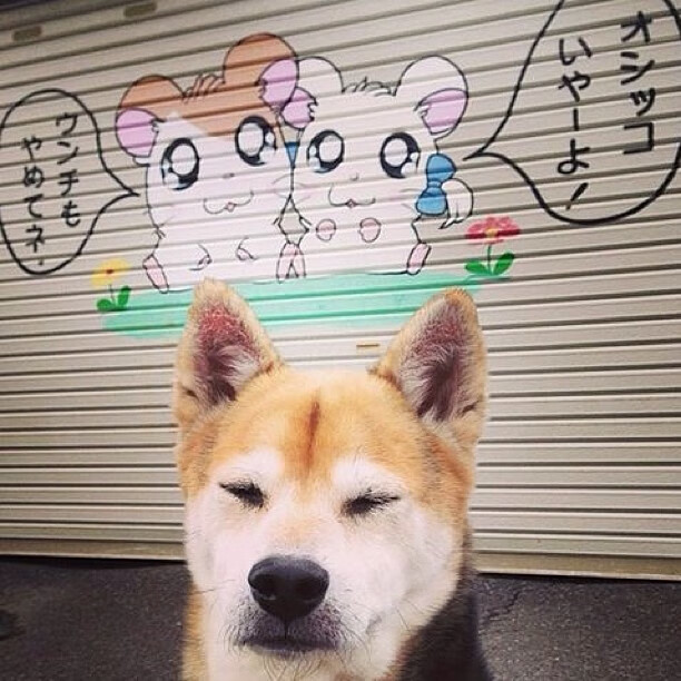 开云体育娱乐-德甲青训体系改制与成效,德甲青训最好俱乐部